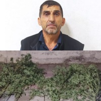 Şabran polisindən xüsusi əməliyyat-Görün nə qədər narkotik ələ keçirildi...