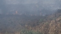 Abşeronda güclü yanğın baş verib — evlər üçün təhlükə var