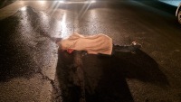 Saray-Novxanı yolunda DƏHŞƏT: Sürücü piyadanı vuraraq öldürüb- FOTO