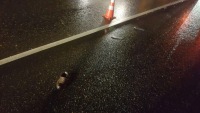 Azərbaycanda dəhşətli qəza: Dörd polis əməkdaşı həlak oldu