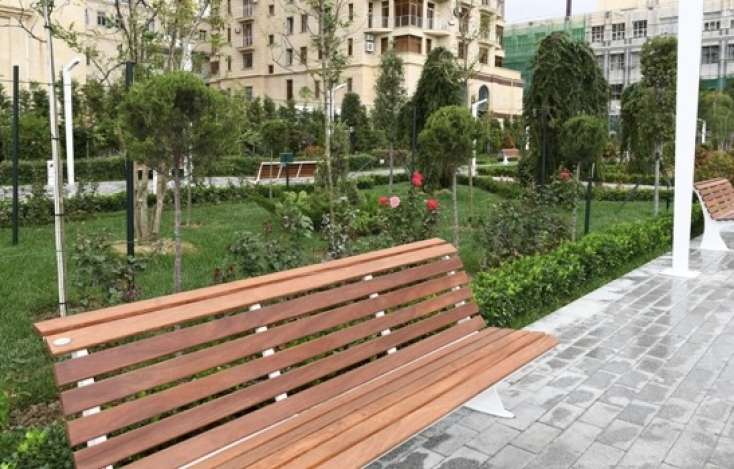 Bakıda parkda meyit tapıldı