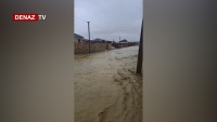 Abşeronda sel fəlakətə səbəb olub- Qobustan kəndində heyvanlarını sel aparılıb -FOTOLAR