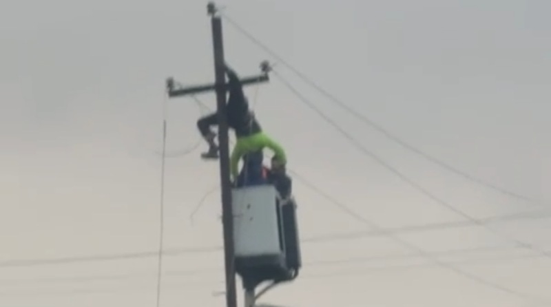 Abşeronda FACİƏ: “Azərişıq” əməkdaşını elektrik cərəyanı vuraraq öldürüb- FOTOLAR