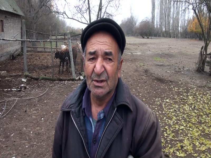 Nəvələrimdən narahatam-Ucarda canavarlar az qalsın evlərə daxil olur-VİDEO