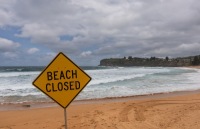 Akula hücumları artdı: Avstraliyada akulanın hücumuna məruz qalan yeniyetmə öldü