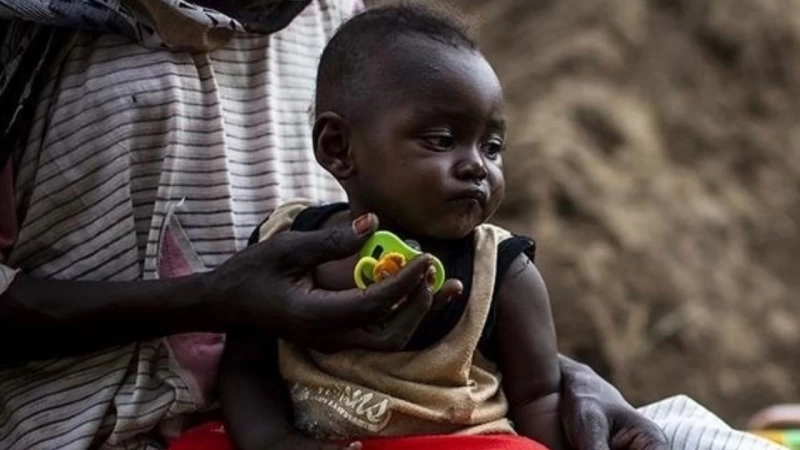 Nigeriyada dəhşət: 17 hamilə qadın “körpə fabrikindən” xilas edildi