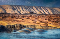 Abşeronda vulkan püskürdü