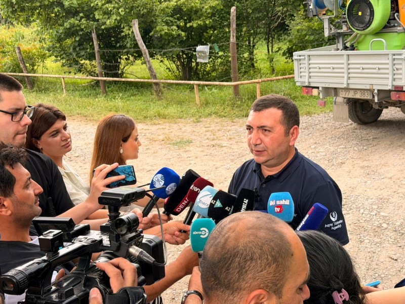 Quba və Xaçmaz rayonlarında media nümayəndələrinin iştirakı ilə qəhvəyi mərmər bağacığına qarşı mübarizə tədbirləri həyata keçirilib-FOTOLAR