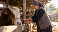 Heyvanı bağlamaq istəyən qadın barmağından oldu